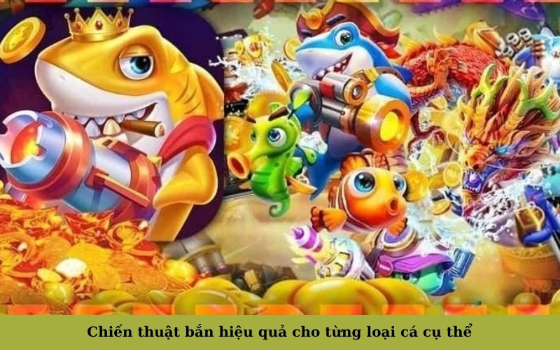 Chiến thuật bắn hiệu quả cho từng loại cá cụ thể