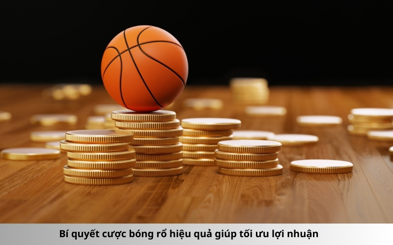 Bí quyết cược bóng rổ hiệu quả giúp tối ưu lợi nhuận