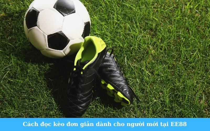 Cách đọc kèo đơn giản dành cho người mới tại EE88